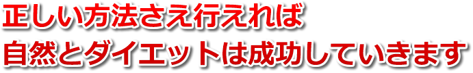 正しい方法さえ行えれば自然とダイエットは成功していきます