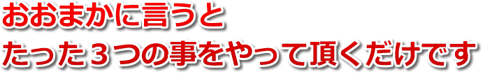 おおまかに言うと、たった３つの事をやって頂くだけです